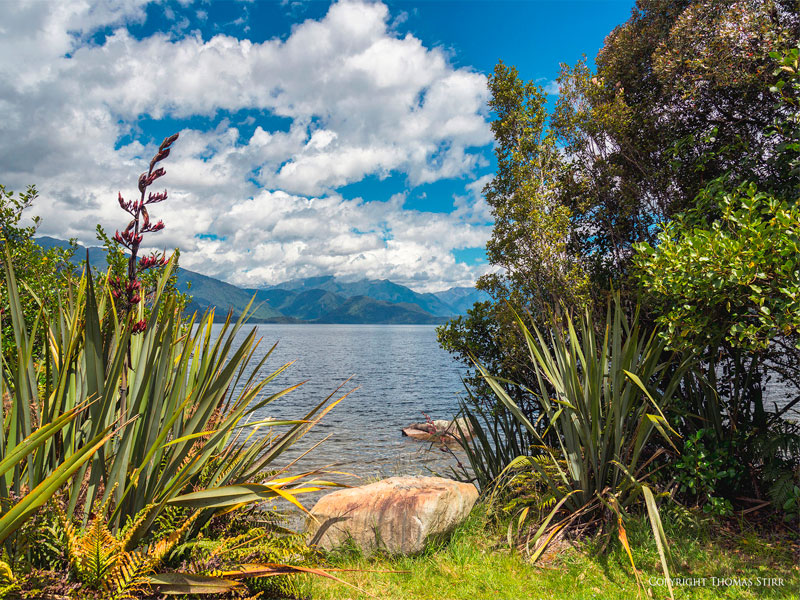 مینا احمد پور بیرگانی