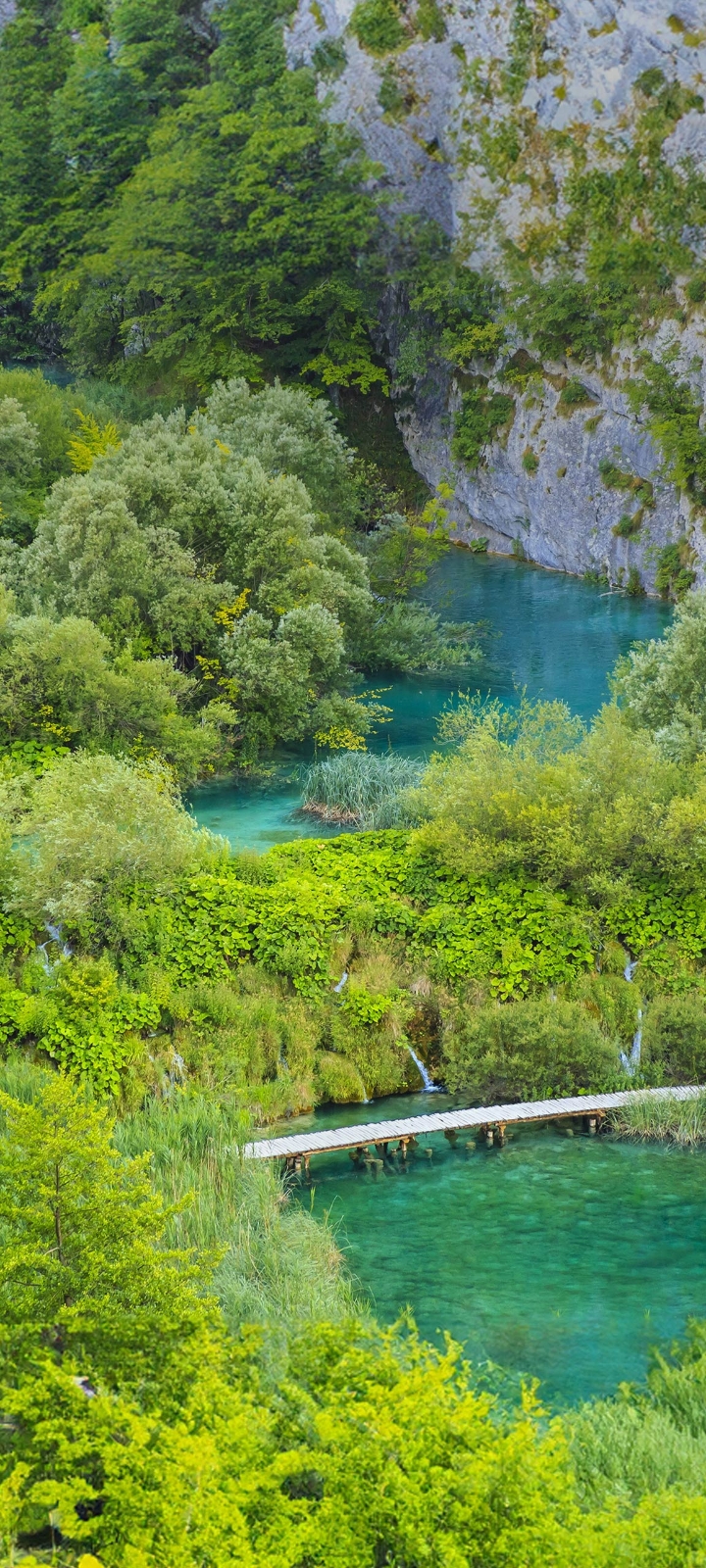 حسین عبادی سعیدانی