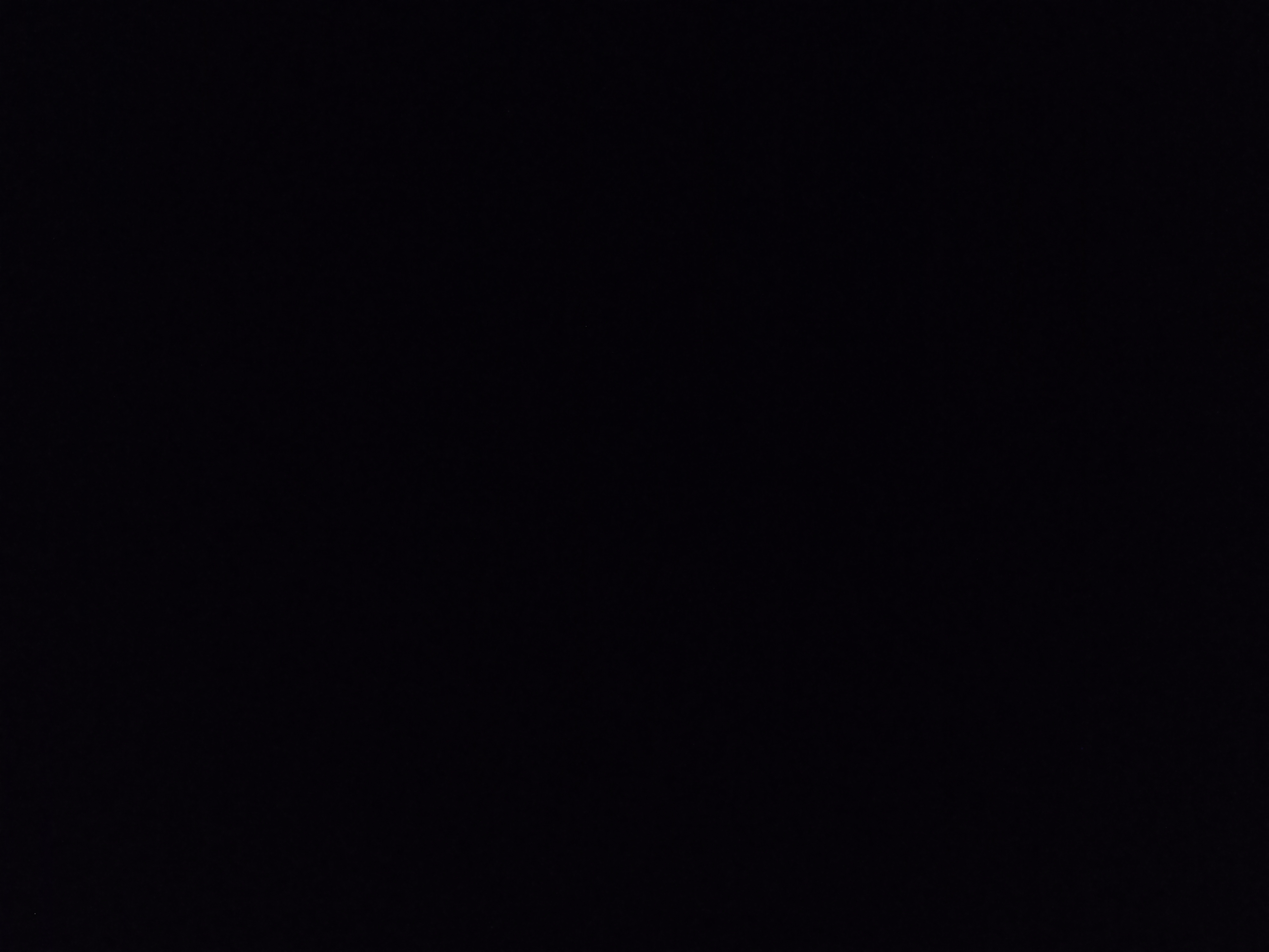 سارا دانشپور