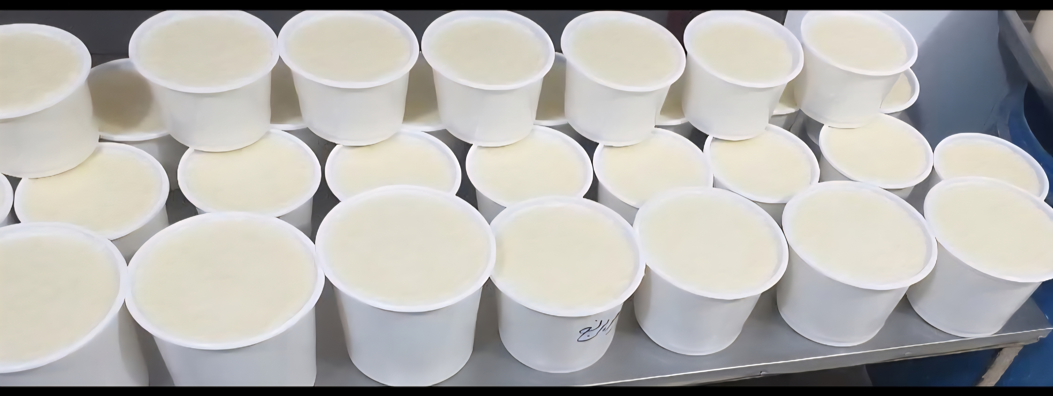 شیربرنج صبح عصر و شب موجود می باشد.