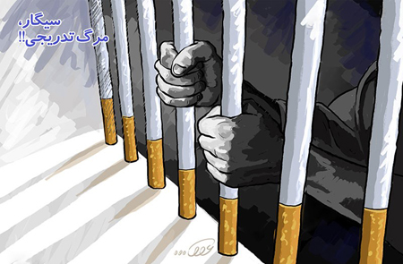 بهترین مشاور خانواده