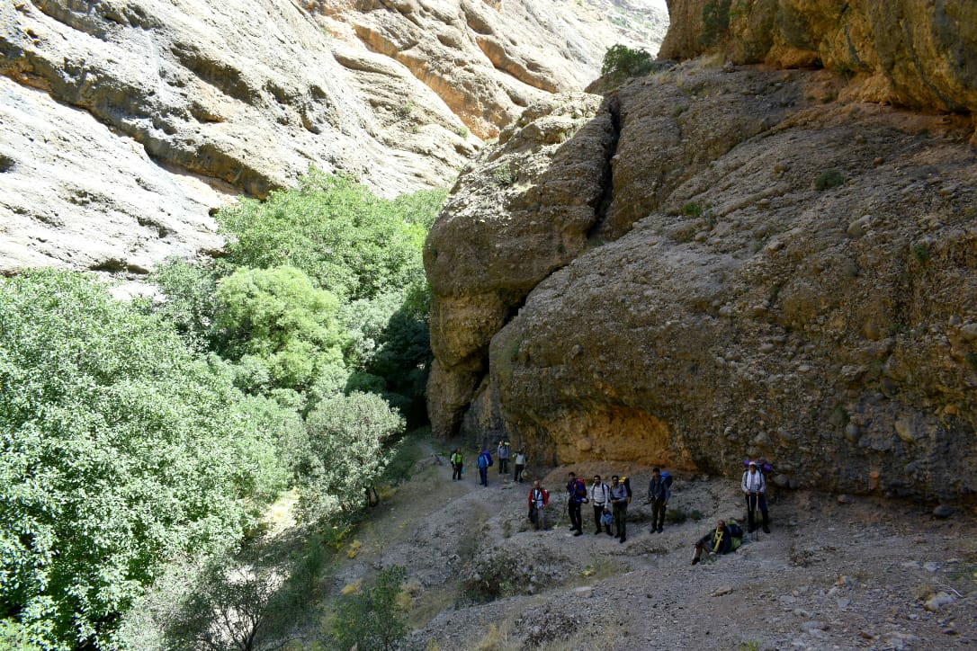 ابراهیم گودرزی