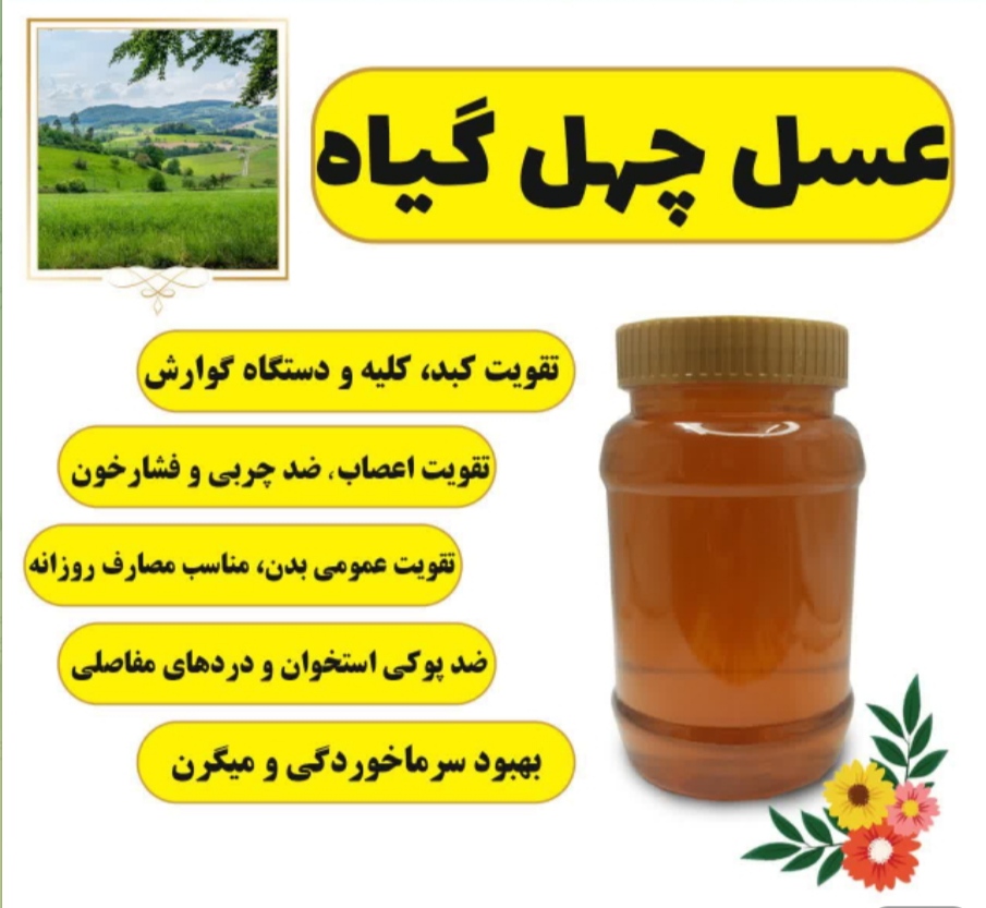 آسیه باقی