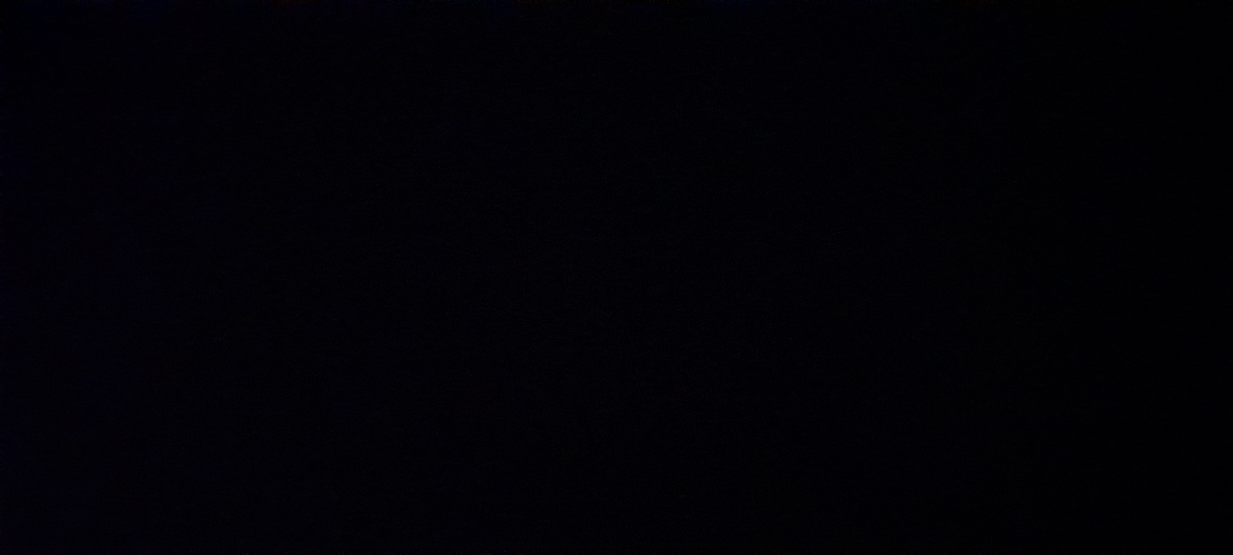 سید امیر حسن میرشجاعی