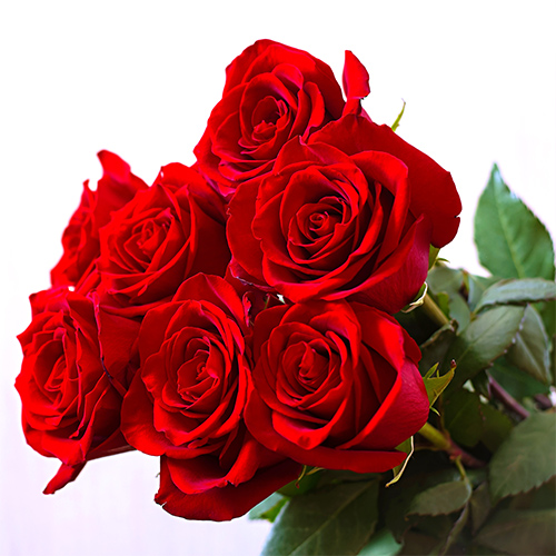 حمیده احمدپور