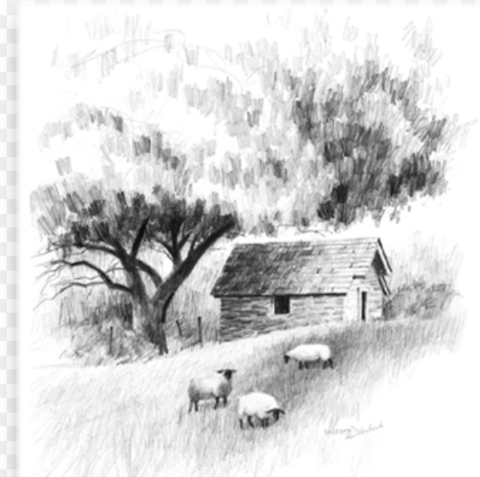 طراحی و نقاشی