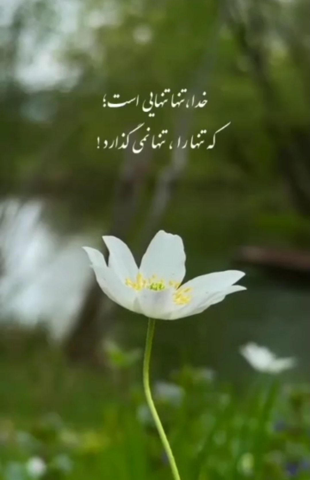 زندگی