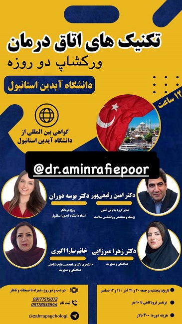 برگزاری ورکشاپ توسط خانم دکتر میرزایی در دانشگاه آیدین استامبول