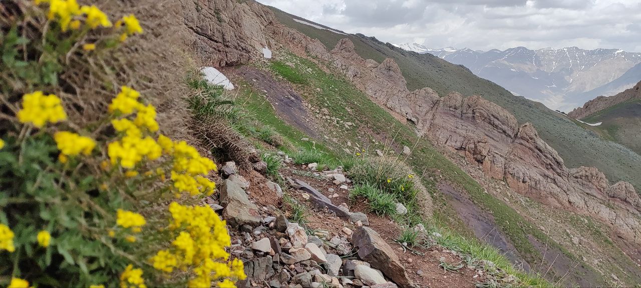 طاهره حاجی حسن چهار سرکار