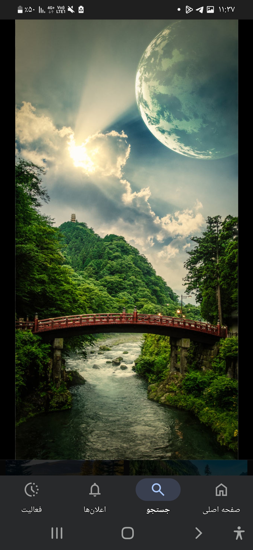 جنگل بی انتها