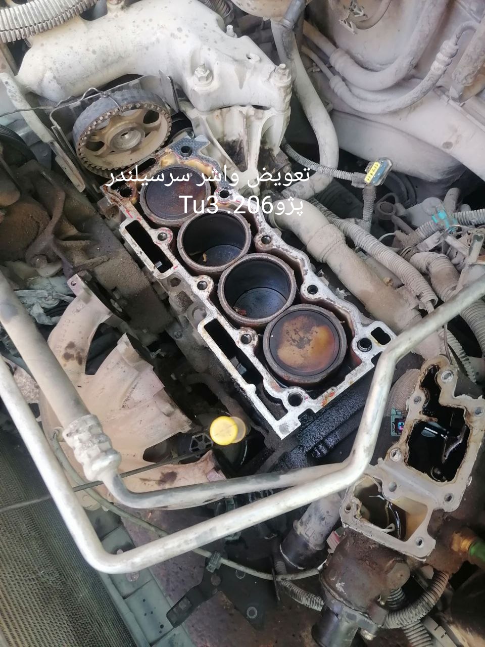 محمدسینا رضایی