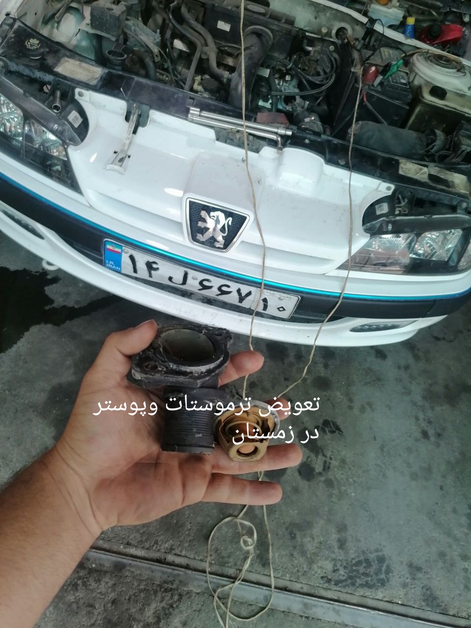 محمدسینا رضایی