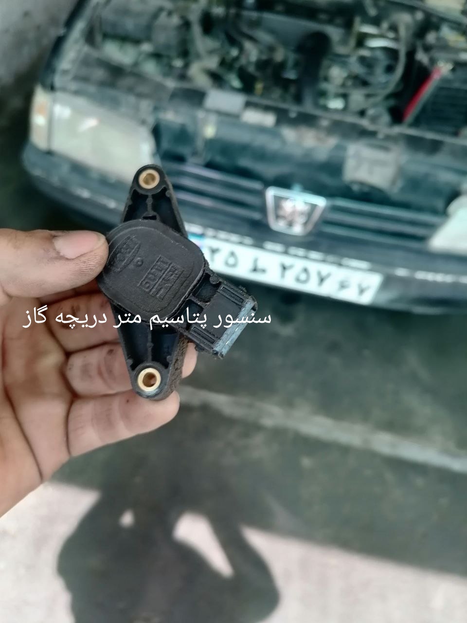 محمدسینا رضایی