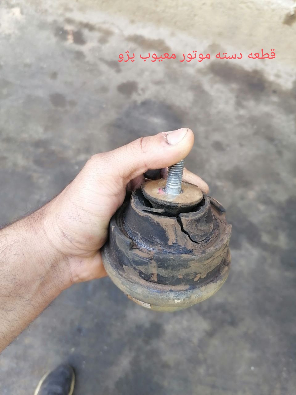 محمد سینا رضایی