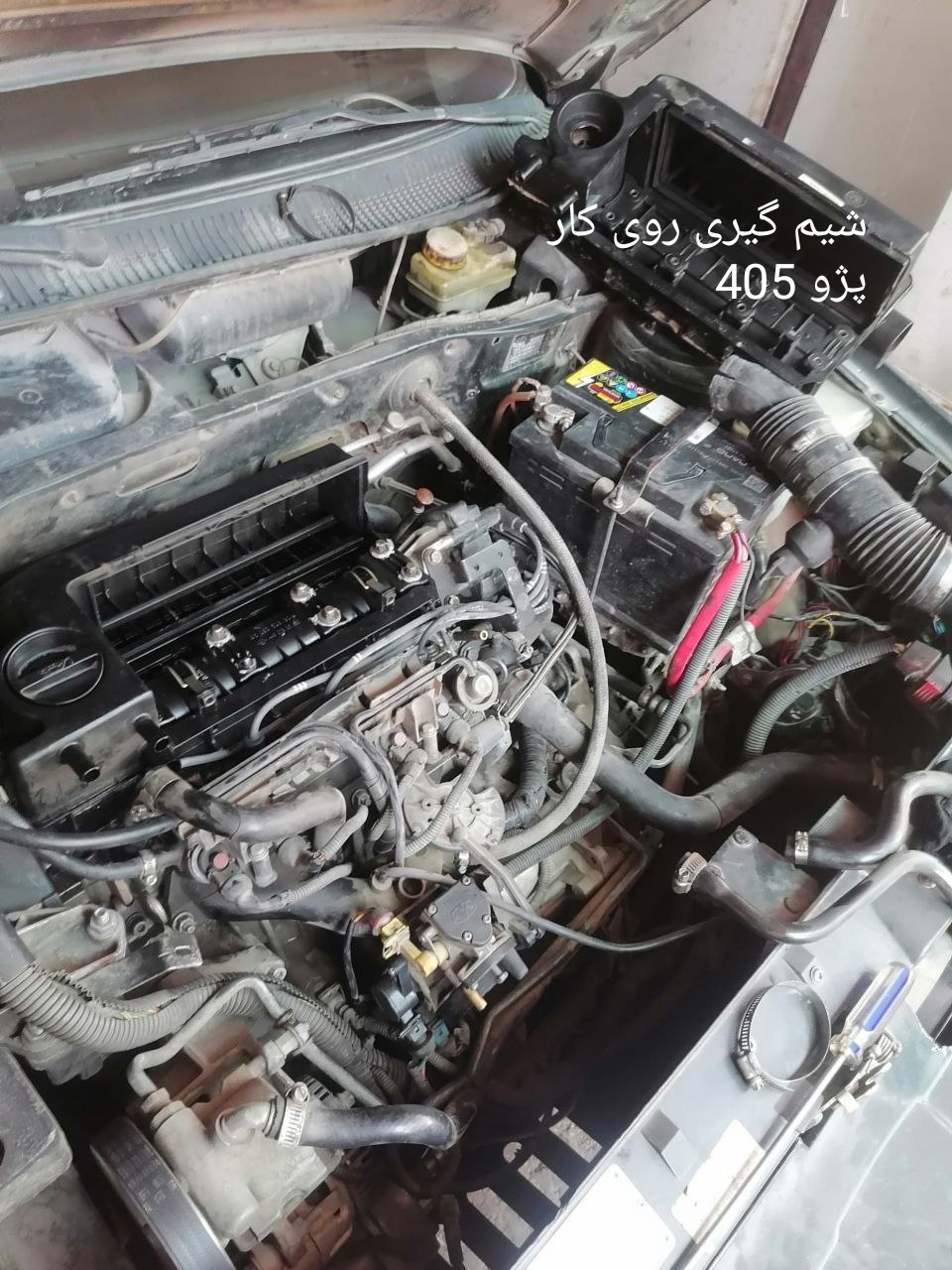 محمد سینارضایی