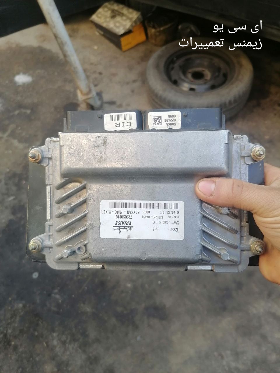 محمدسینا رضایی