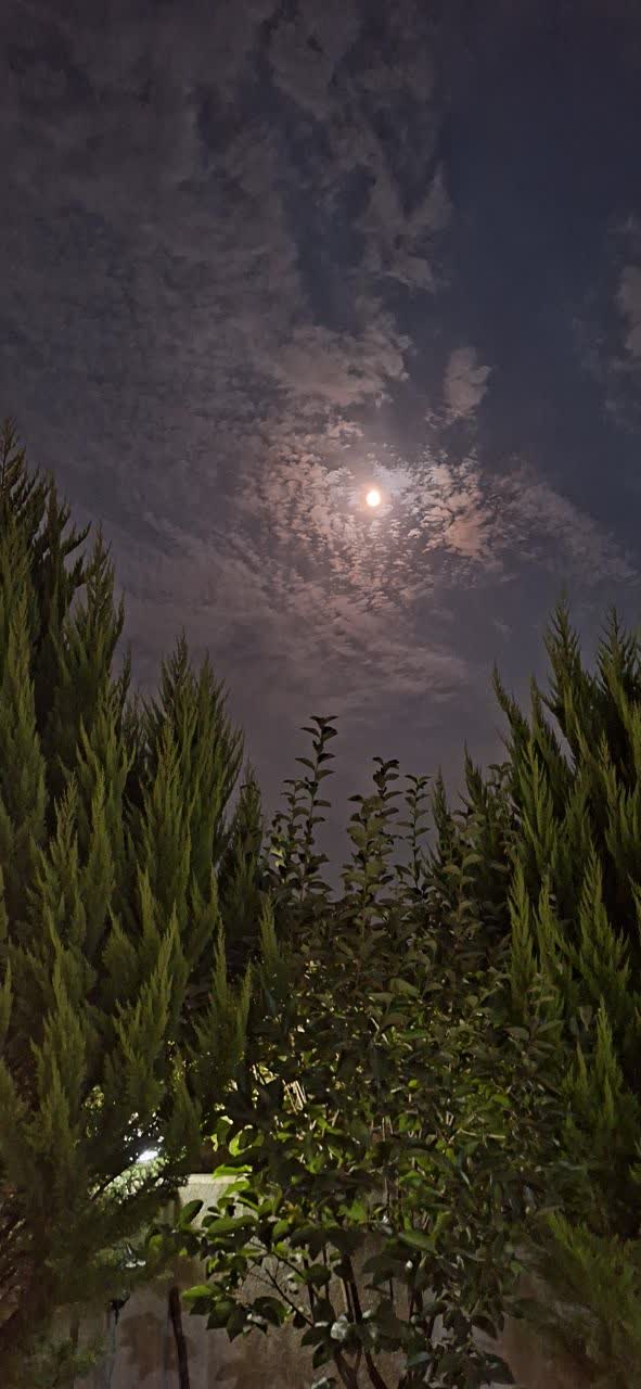 سکینه محمدی سعادت آبادی پور