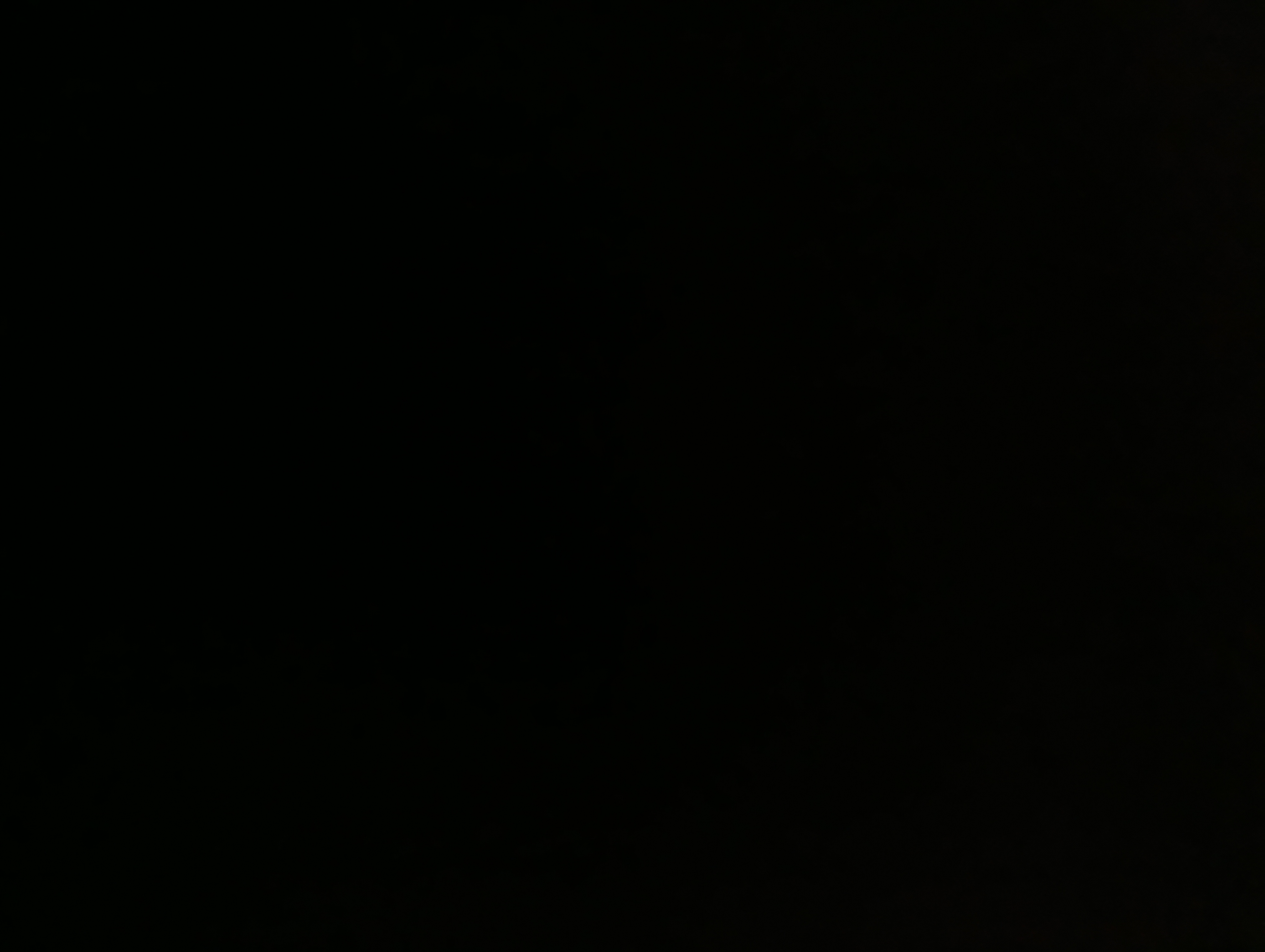 گل متاع کلانتری للری