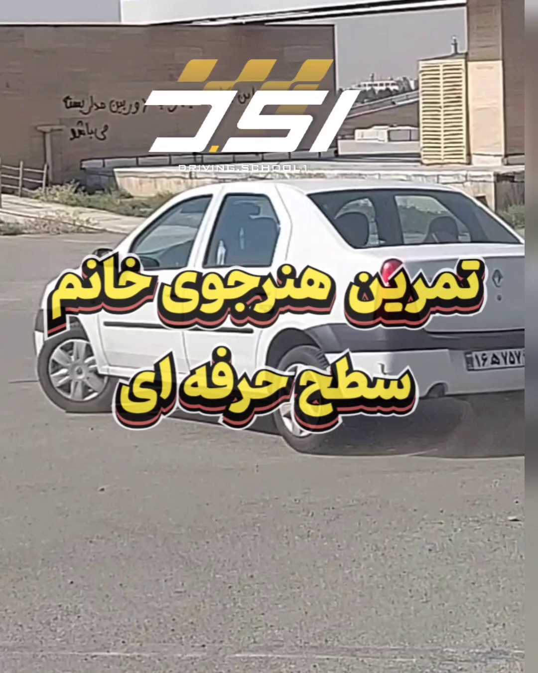 هنرجوی خانم تا سطح حرفه ای