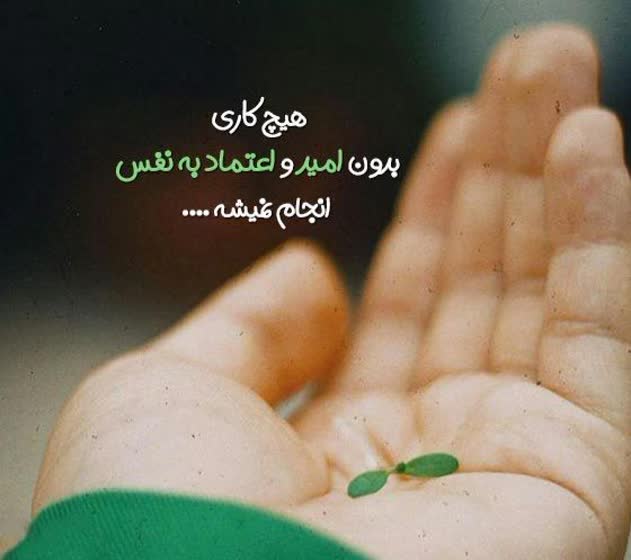 عصمت محمدی