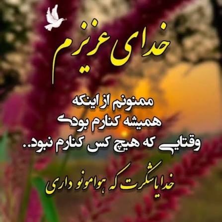 شکرگزاری 3