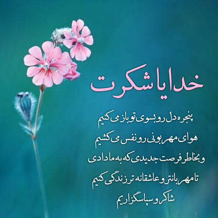 شکرگزاری 4