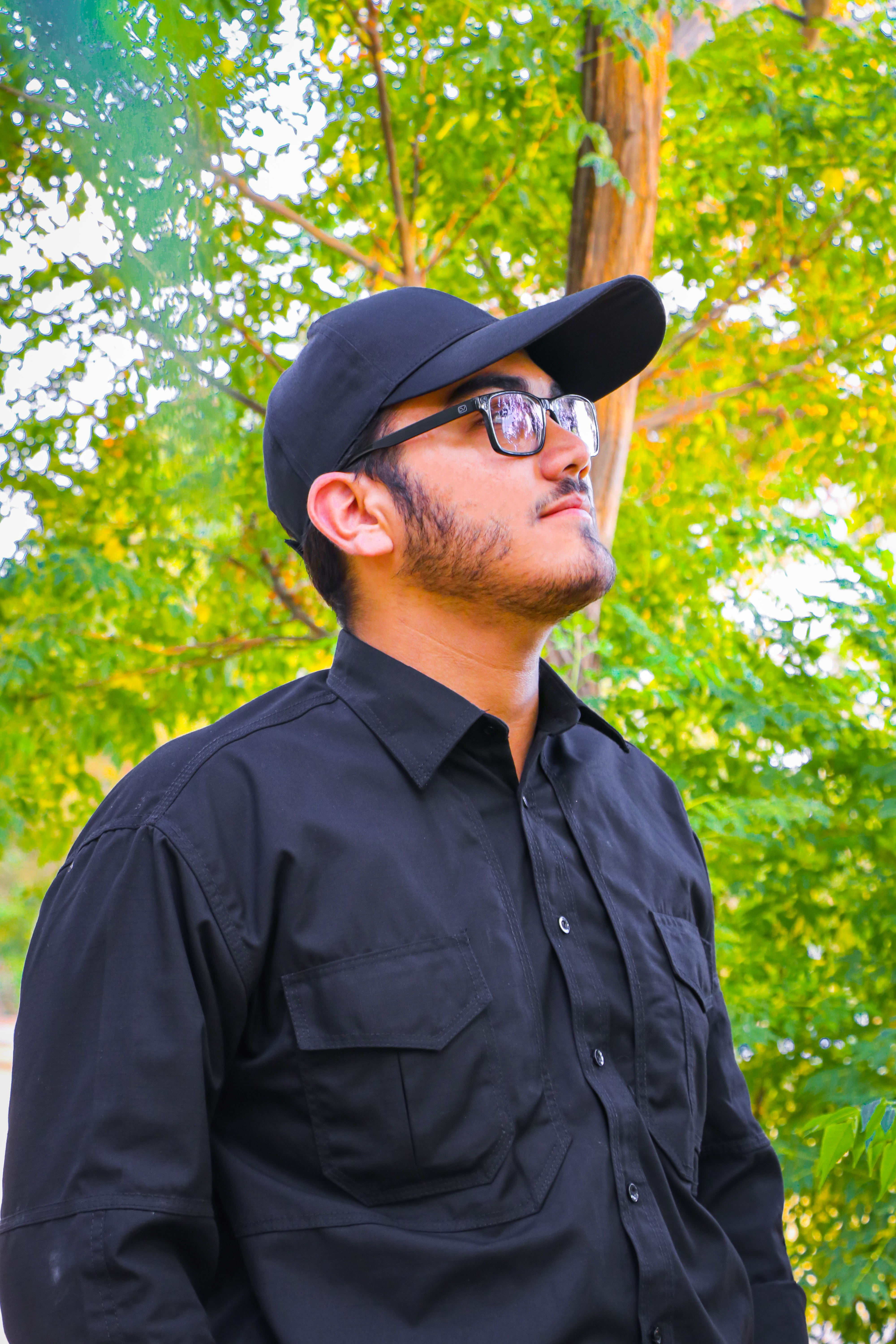 سید مهدی سید حسینی