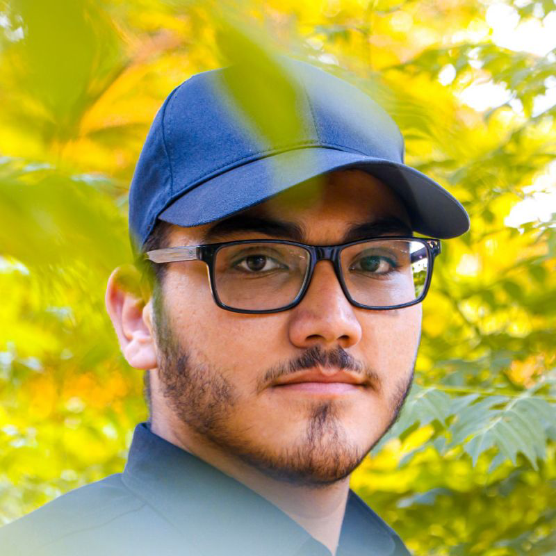 سید مهدی سید حسینی
