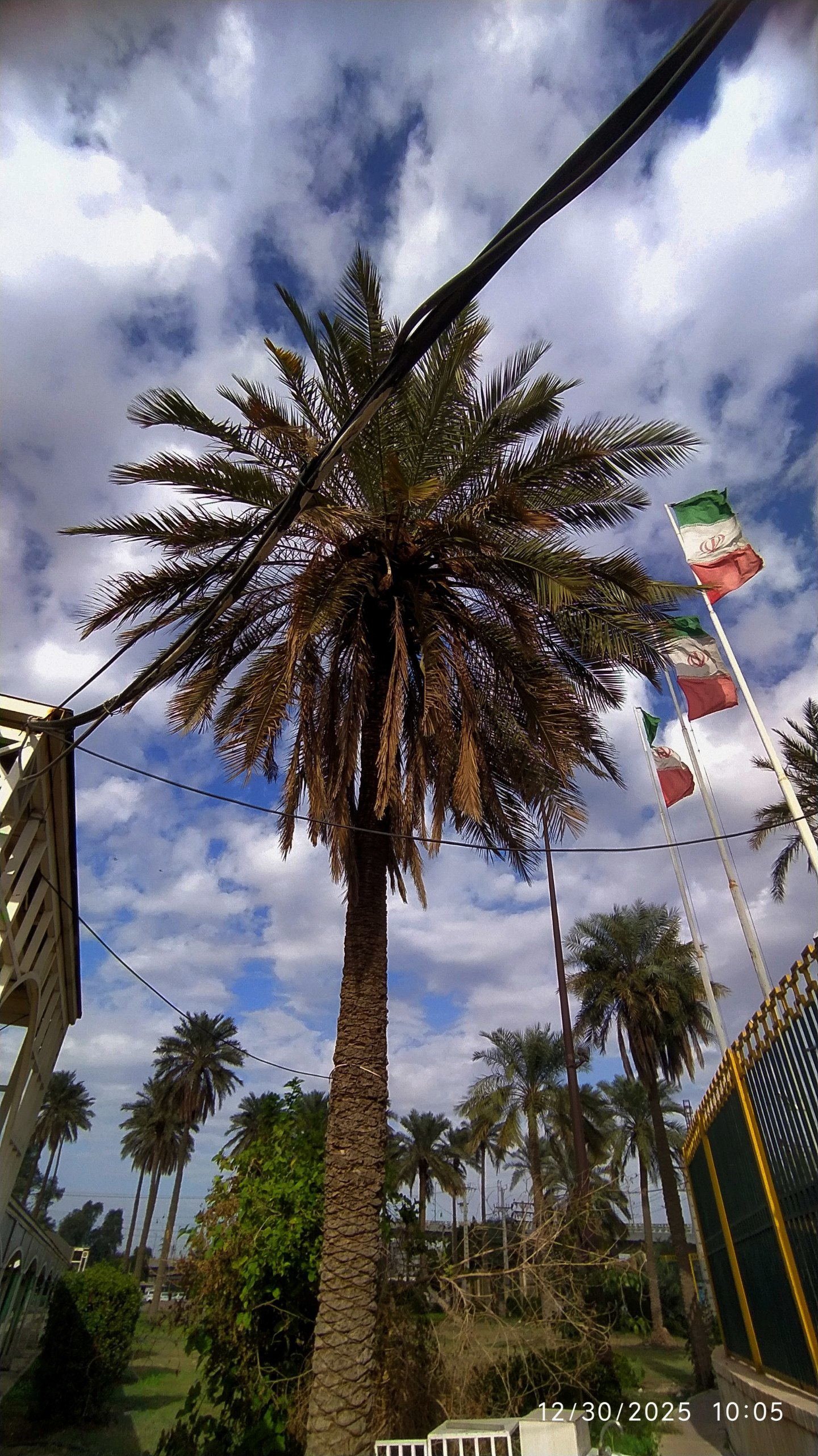 دانشگاه شهید چمران اهواز