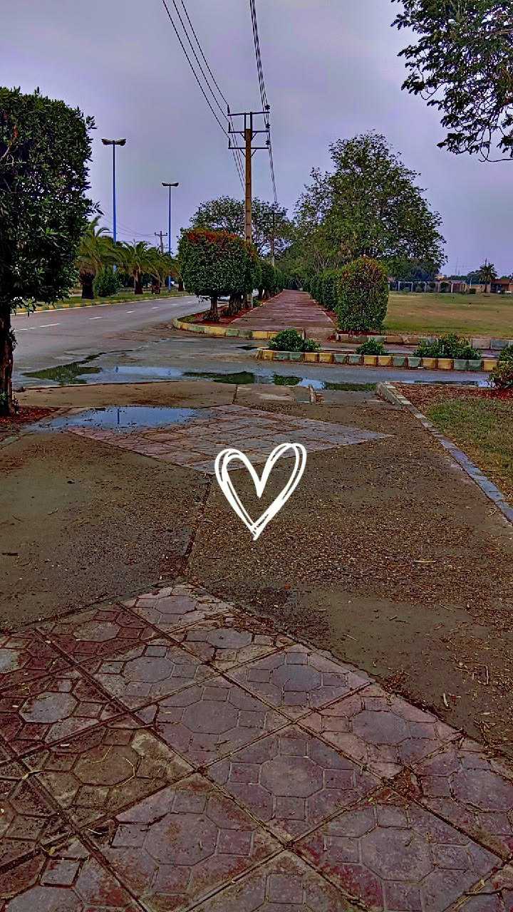 خوابگاه حضرت معصومه (س)