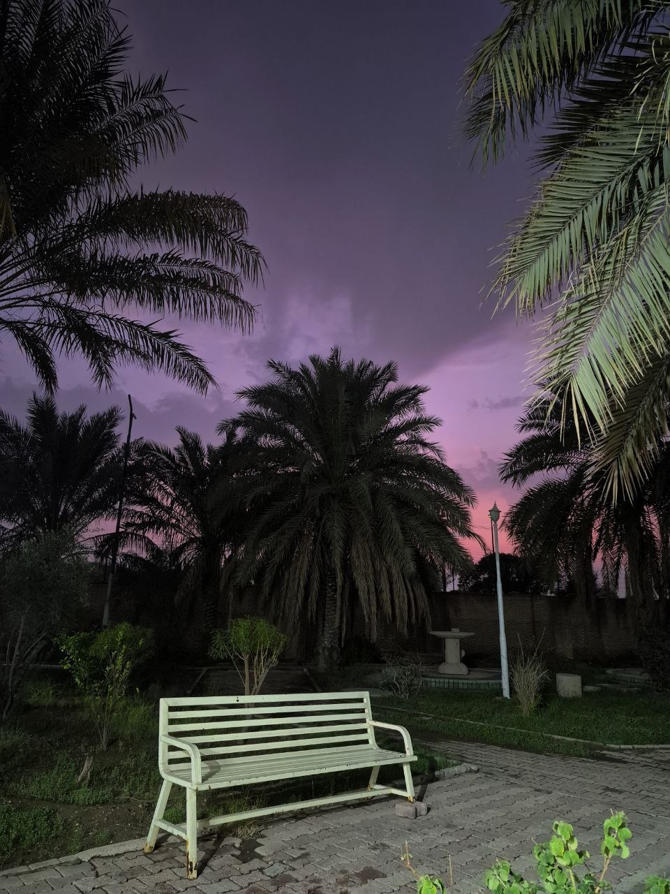 خوابگاه