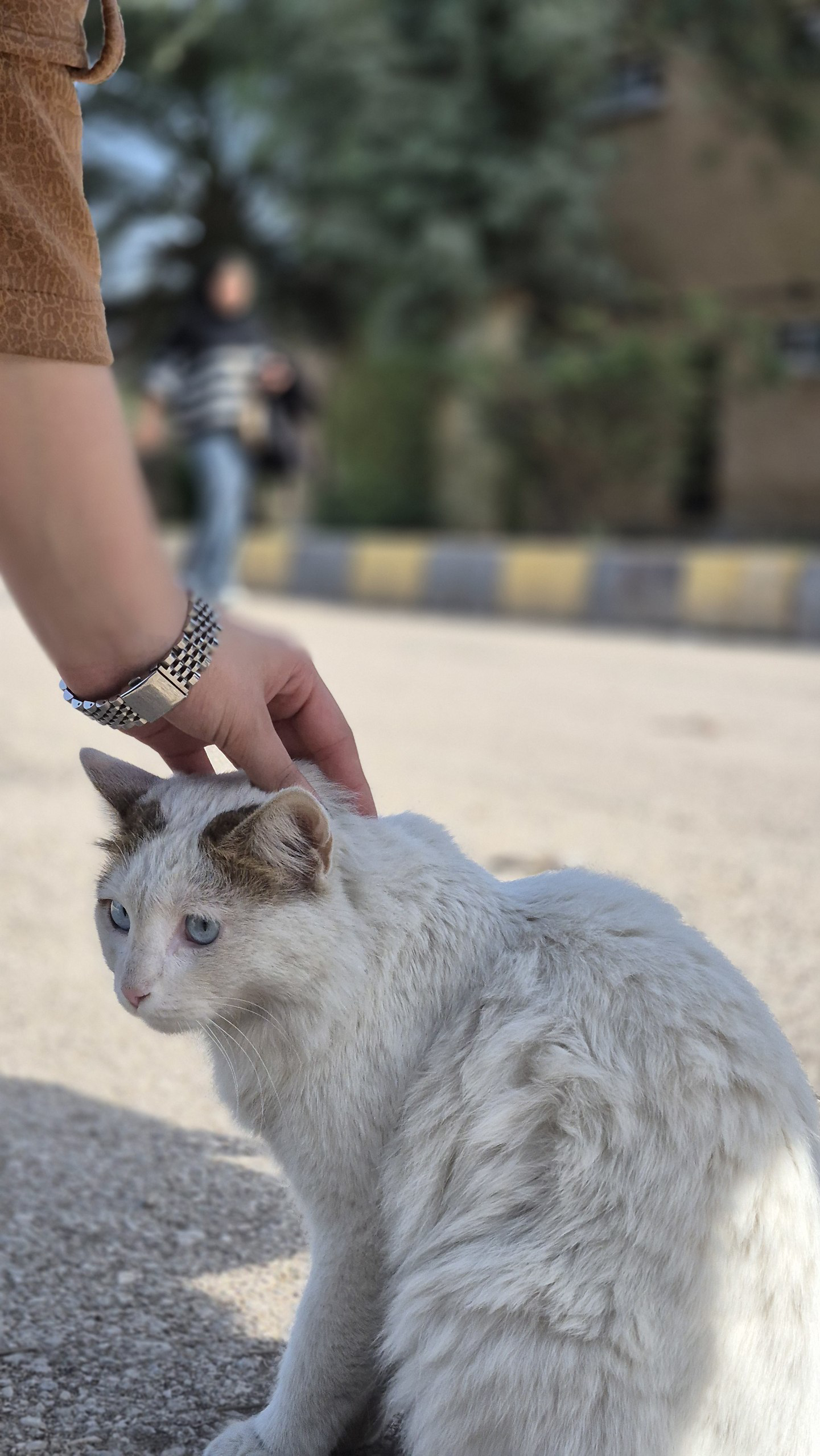 خوابگاه