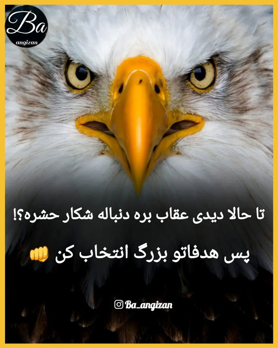 انگیزشی