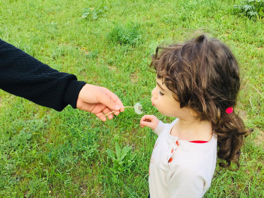 چشم انداز