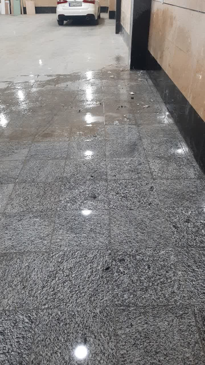 نمونه