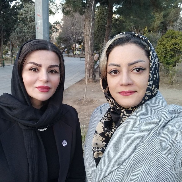 استاد میرسیدنژاد