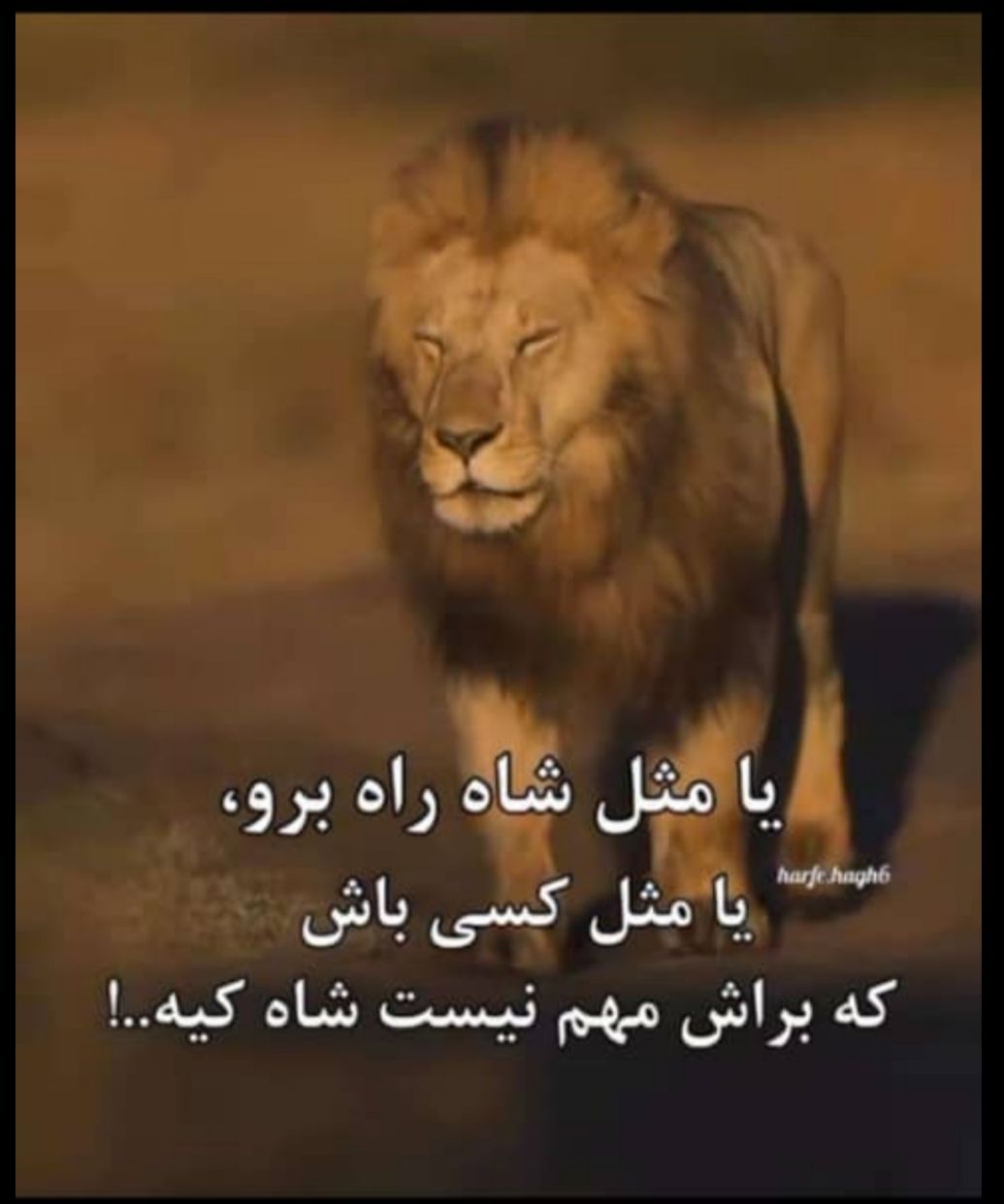 شیر درون