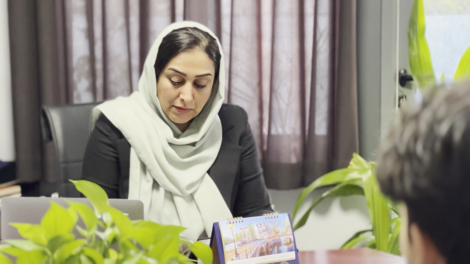 راه اندازی کسب و کار در شیراز