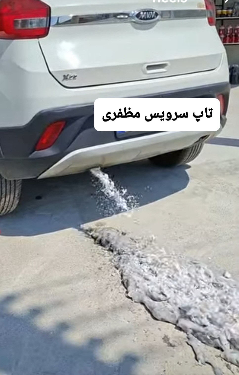 شستشوی کاتالیزوز MWM X22