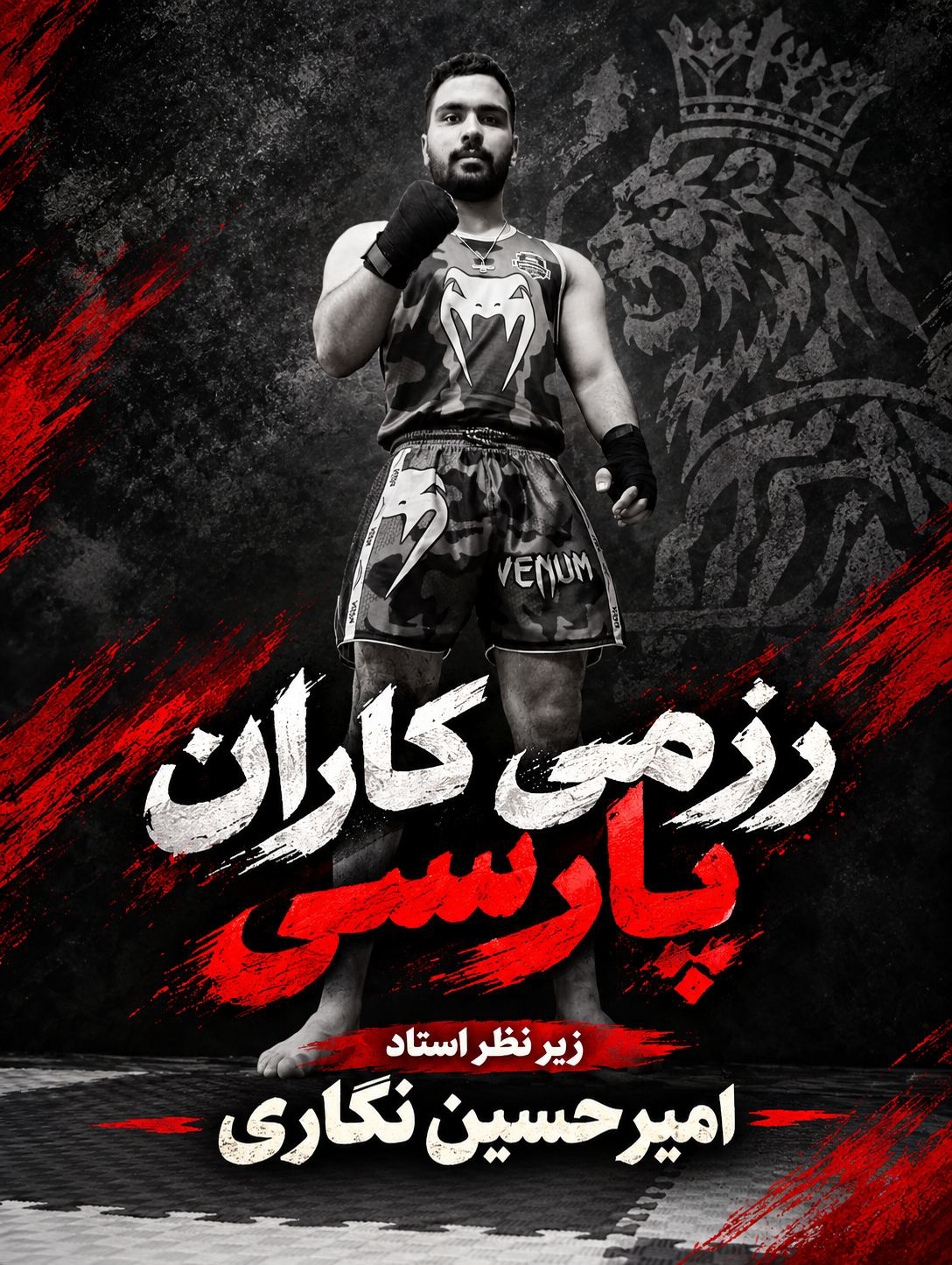 امیر حسین نگاری