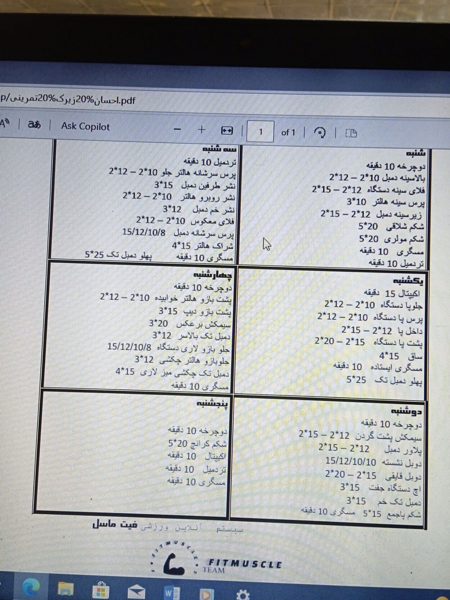 برنامه تمرینی و غذایی فیت ماسل پرو