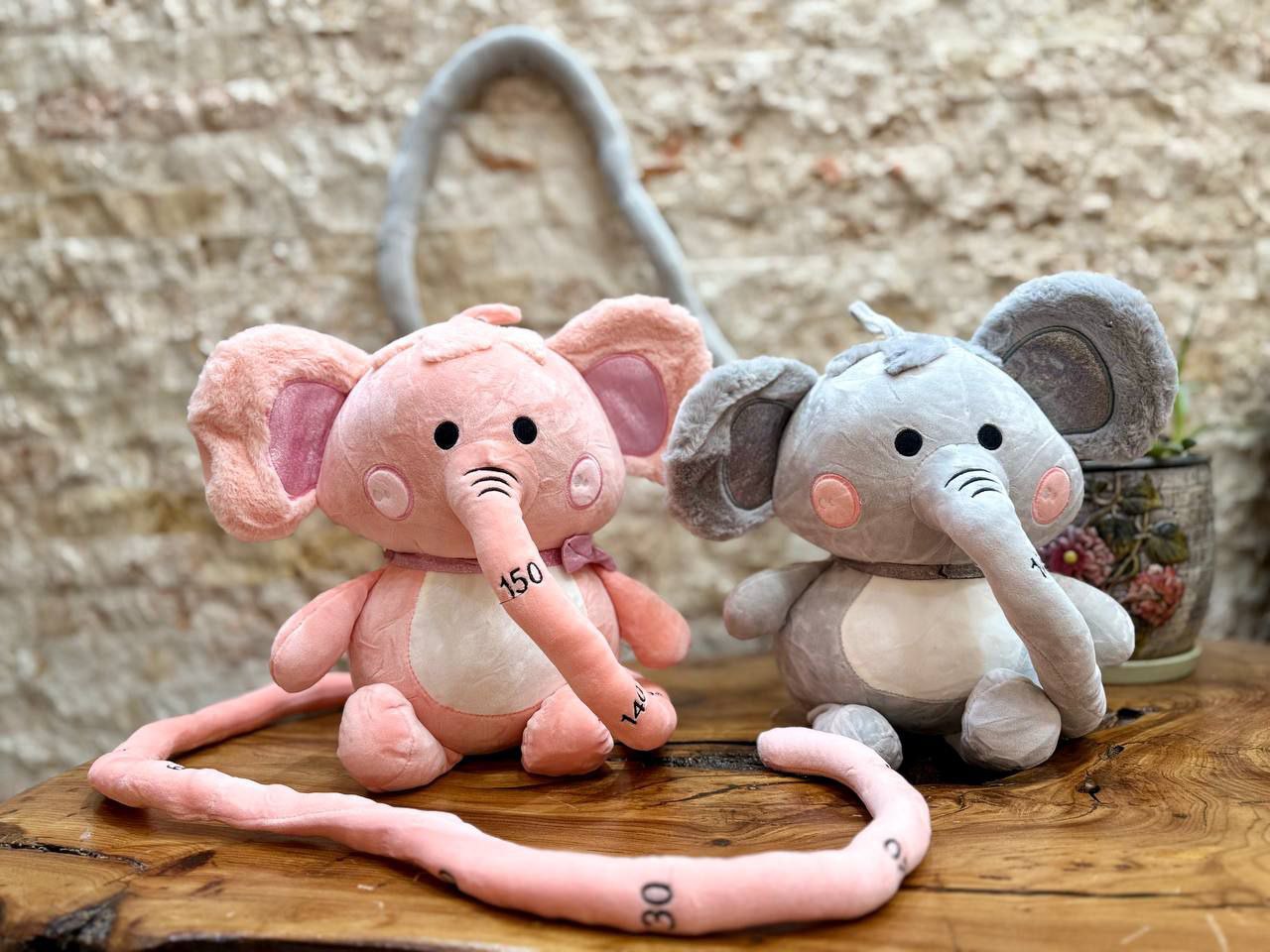 فیل دماغ متری