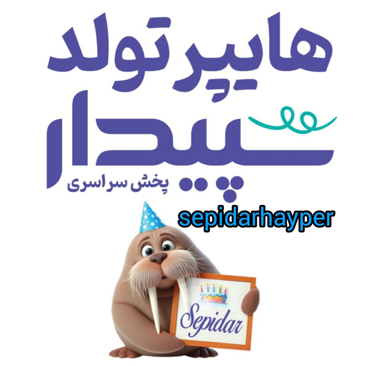 هایپر تولد سپیدار