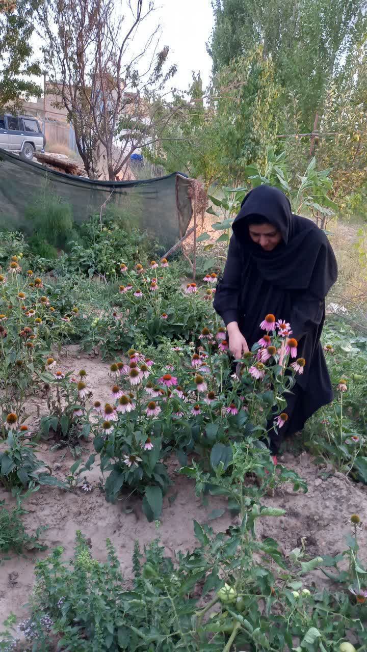 تصاویر 