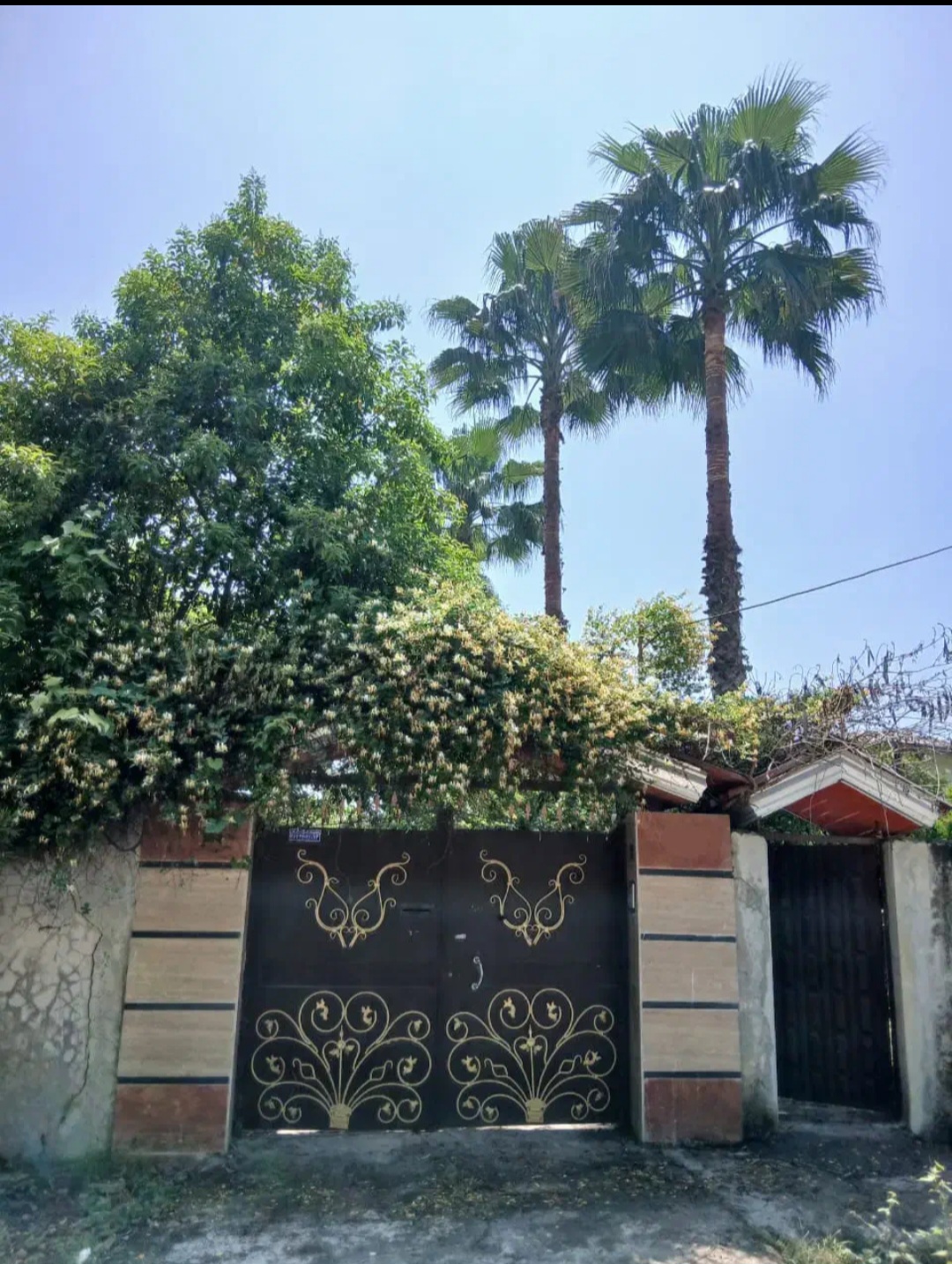 ویلا فلت نور ( کد 123 )