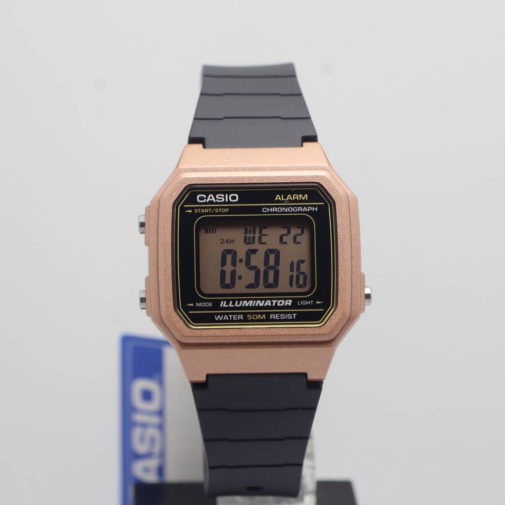 A168WEGB_1B