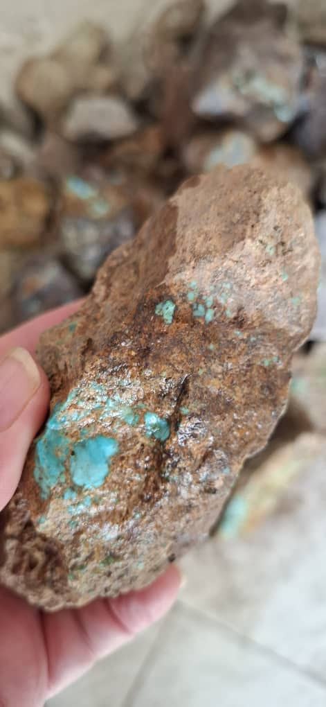 سنگ راف استخوانی