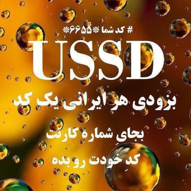 رقیه محمدی رسا