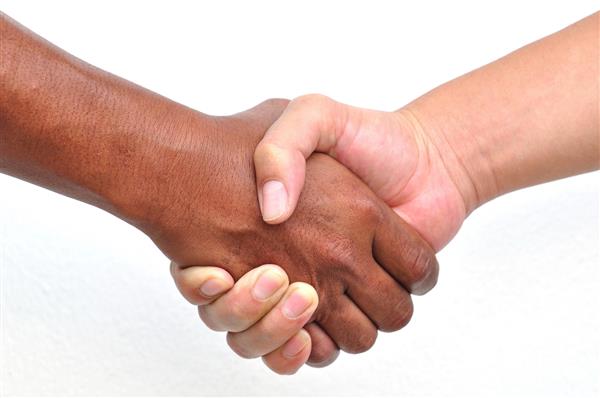 مشاور امور شهرداری