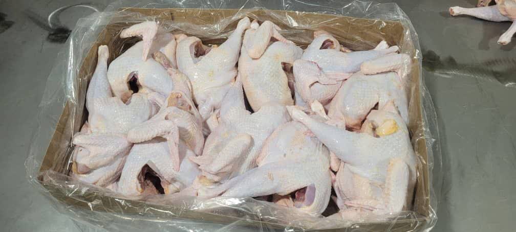 گوشت مرغ تخمگذار